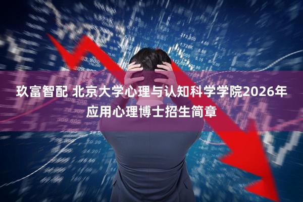 玖富智配 北京大学心理与认知科学学院2026年应用心理博士招生简章